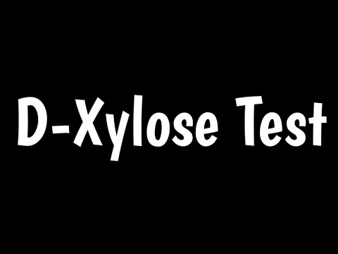 Positive D-Xylose Test? Unveiling its Meaning and Implications for Your Health