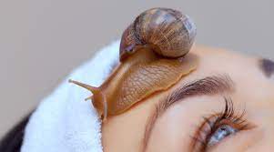 Snail Skincare