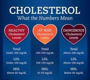 Cholesterol Levels