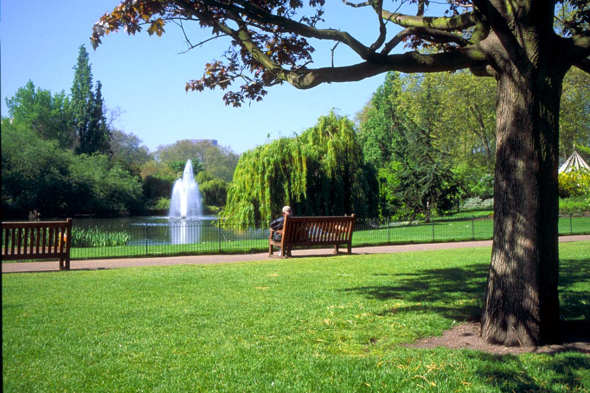 Muscat’s Hidden Gems A Journey through Park Paradises