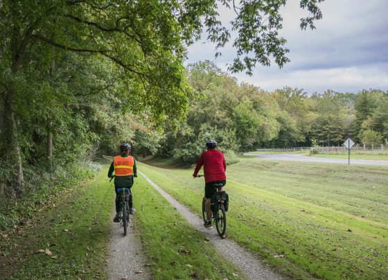 Explore Poland's Best Finding the Perfect National Park