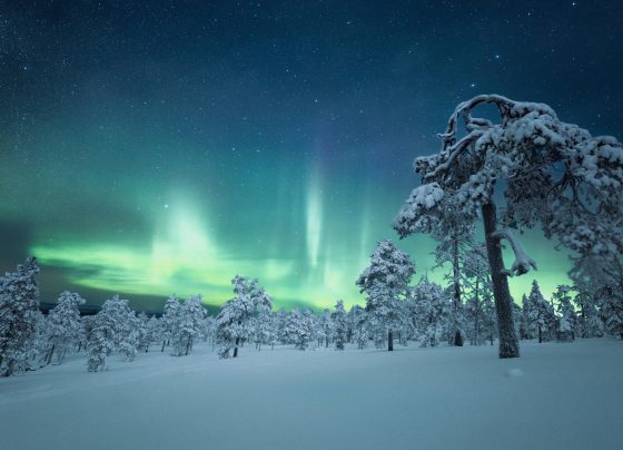 Finland's Magic Wonders with the Ultimate Top 10 Activities