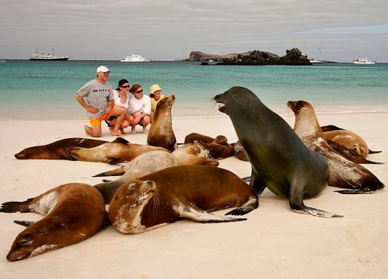 Galapagos Islands that captivate life exploring advanced travel