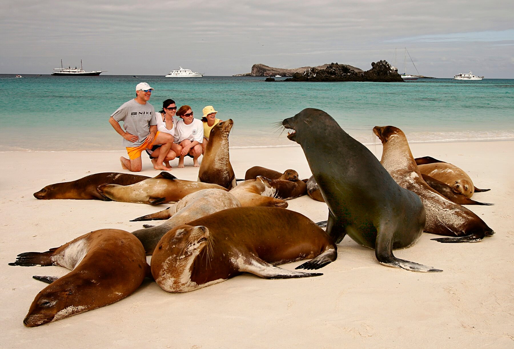 Galapagos Islands Decoded Unraveling the Charms Must-Visit