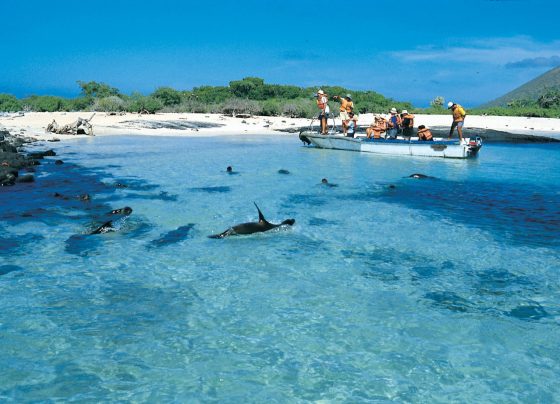 Galapagos Islands that captivate life exploring advanced travel
