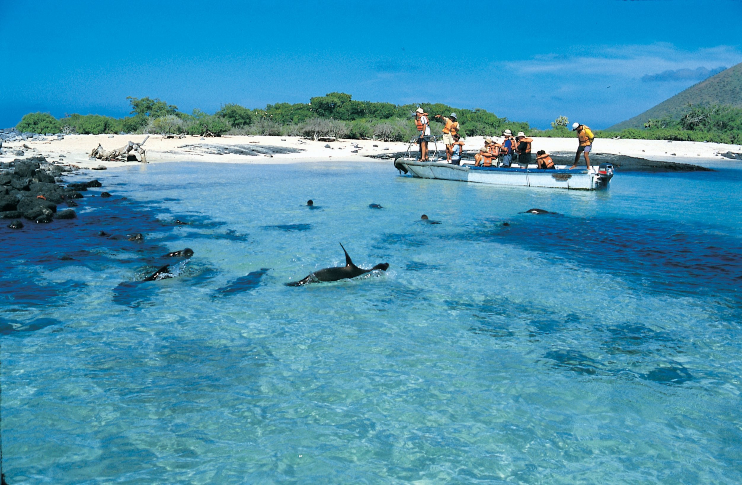 Galapagos Islands that captivate life exploring advanced travel