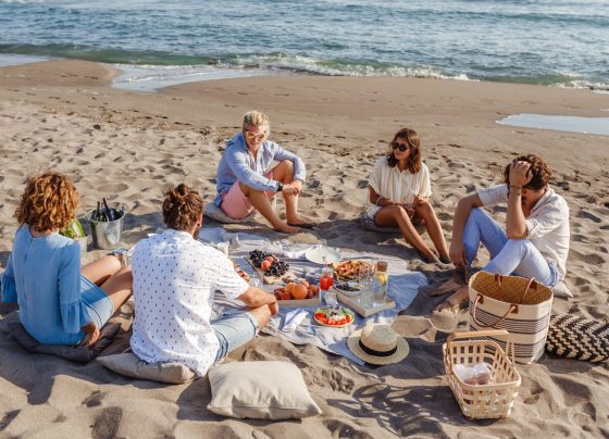 Friends Having Picnic on the Beach