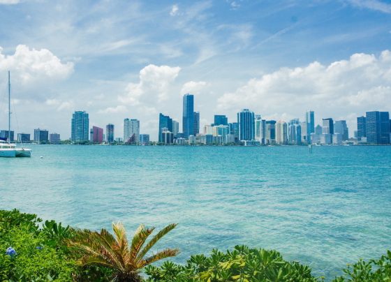 Miami Real Estate: A Bubble Bursting? Insights for Economists and Investors