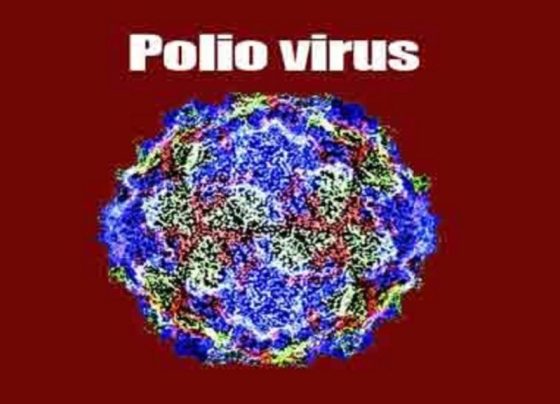 Poliovirus in Wastewater