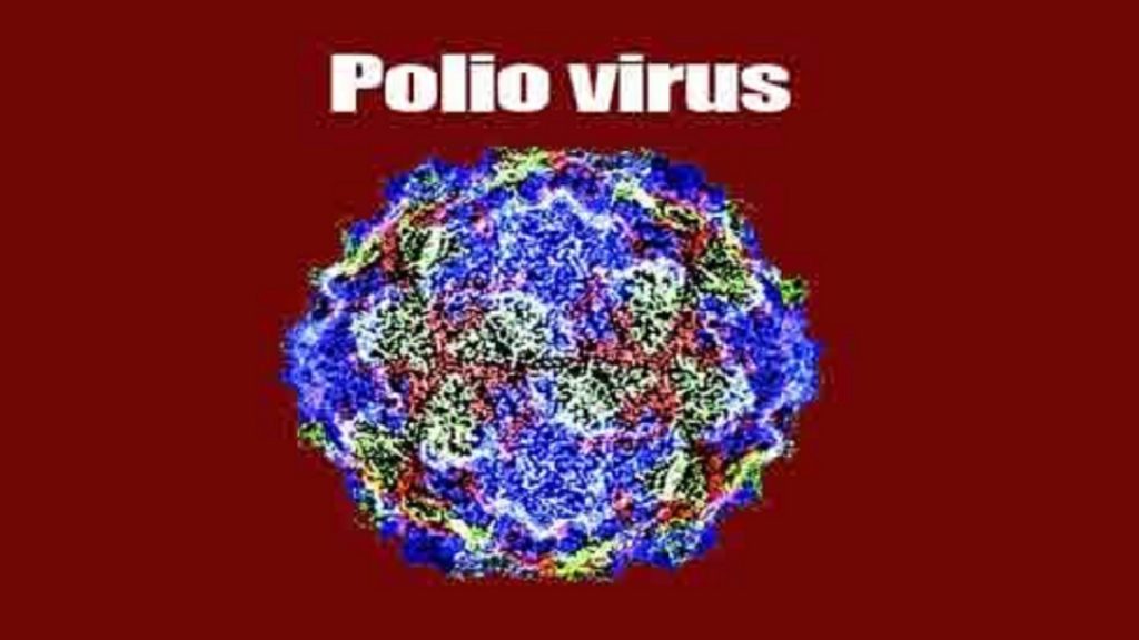 Poliovirus in Wastewater: A Hidden Danger