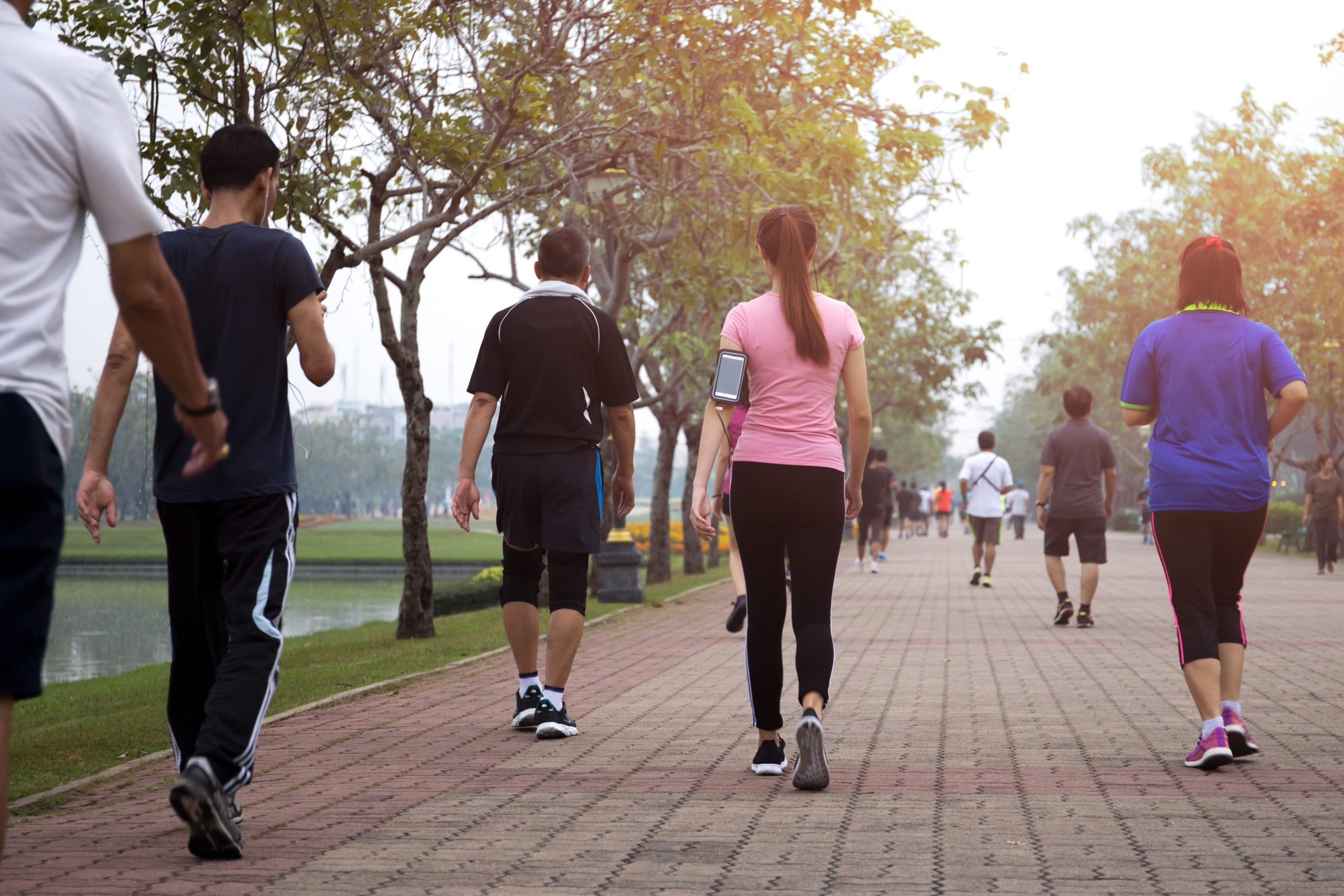 Step by Step: Harnessing the Healing Power of Walking