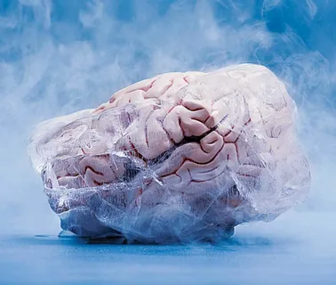 Chilled Mind: Understanding the Science Behind Brain Freeze