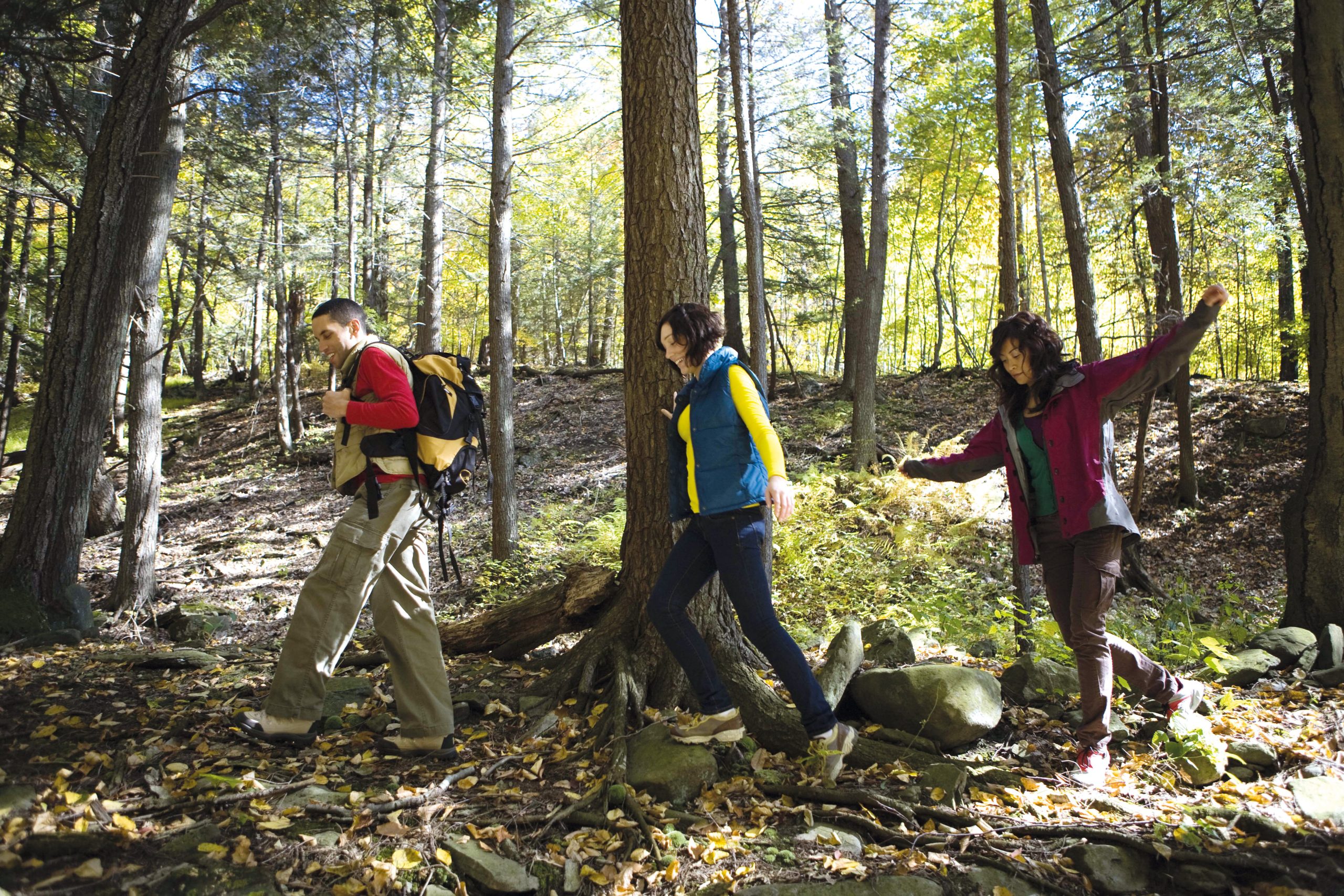 Crafting Enduring Family Memories in Nature's Playground