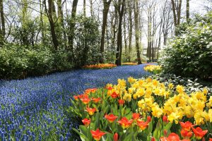 Togetherness Exploring Keukenhof's Family-Friendly Marvels