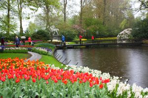 Unveiled Navigating Keukenhof's Floral Paradise for Families