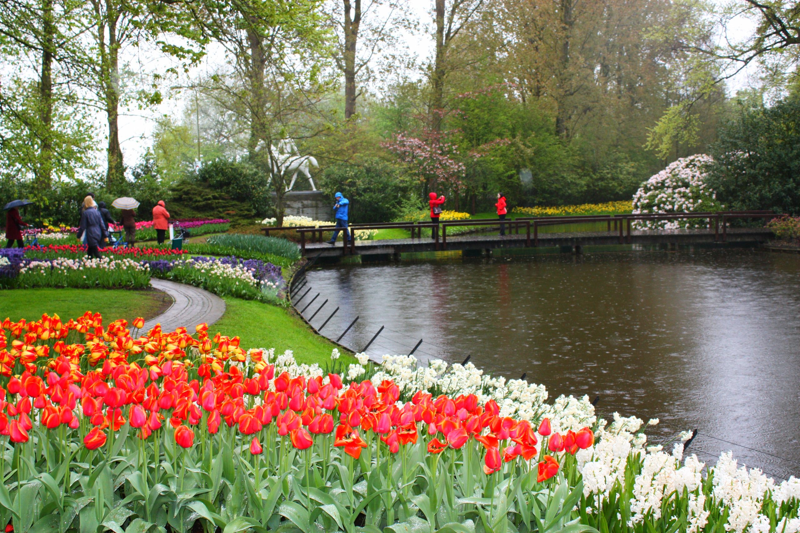 Unveiled Navigating Keukenhof’s Floral Paradise for Families