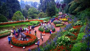 Unveiling the Marvels of Kirstenbosch into Floral Diversity