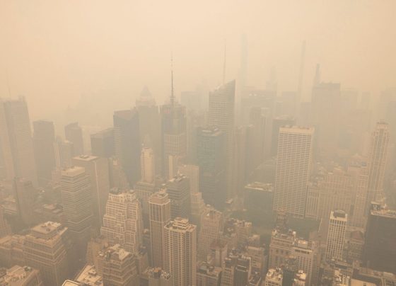 The Risks of Leaving Polluted Cities: A Reality Check