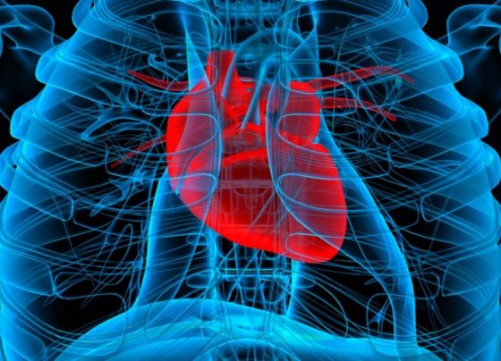 cardiovascular diseases in China