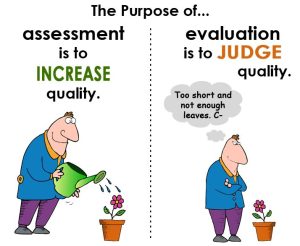 Assessment and Evaluation