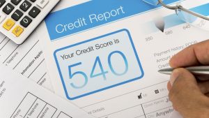 Credit Score Potential