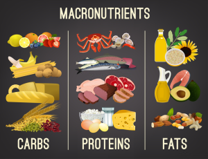 Building a Healthy Plate