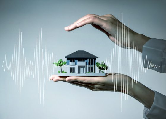 Earthquake Insurance Insights