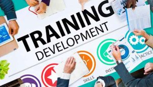 Training and Development Programs