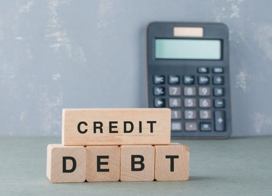 Credit Score Potential