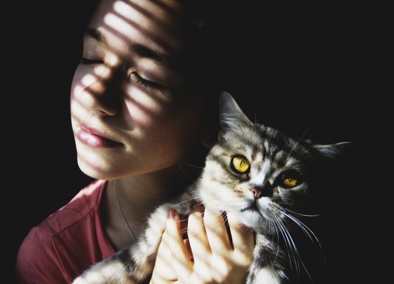 Mindful Training: Developing Awareness in Kittens