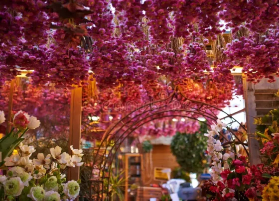 Blooming Tranquility Flower Market Hotel Amsterdam