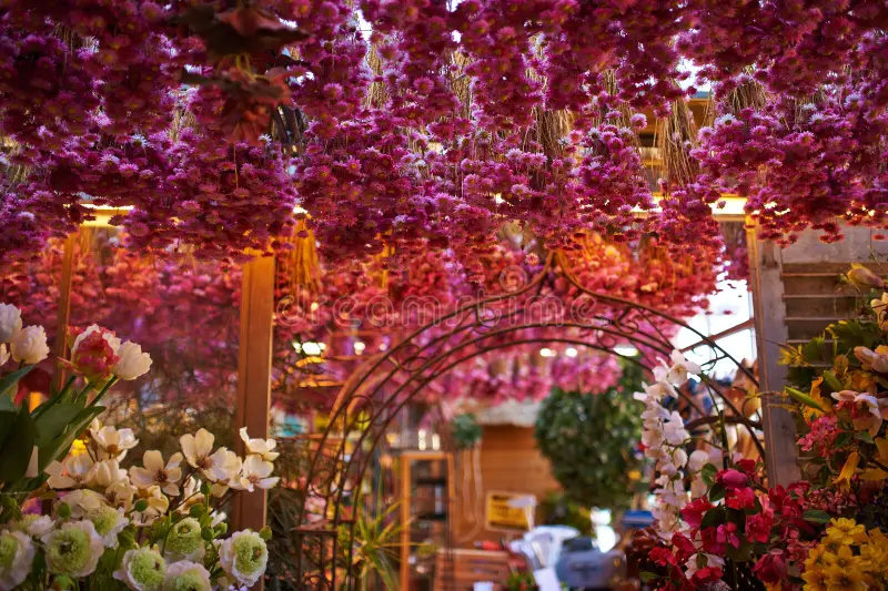 Flower Market Hotel Amsterdam Stay Amidst Blooms