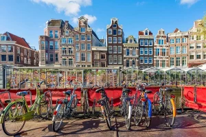 Blooming Tranquility Flower Market Hotel Amsterdam