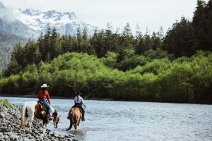 Exploring Vancouver Island's Wineries