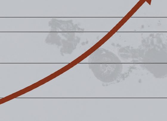 Earthmove Insurance: Coverage Beyond Earthquakes