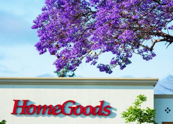 HomeGoods Online Store Closure