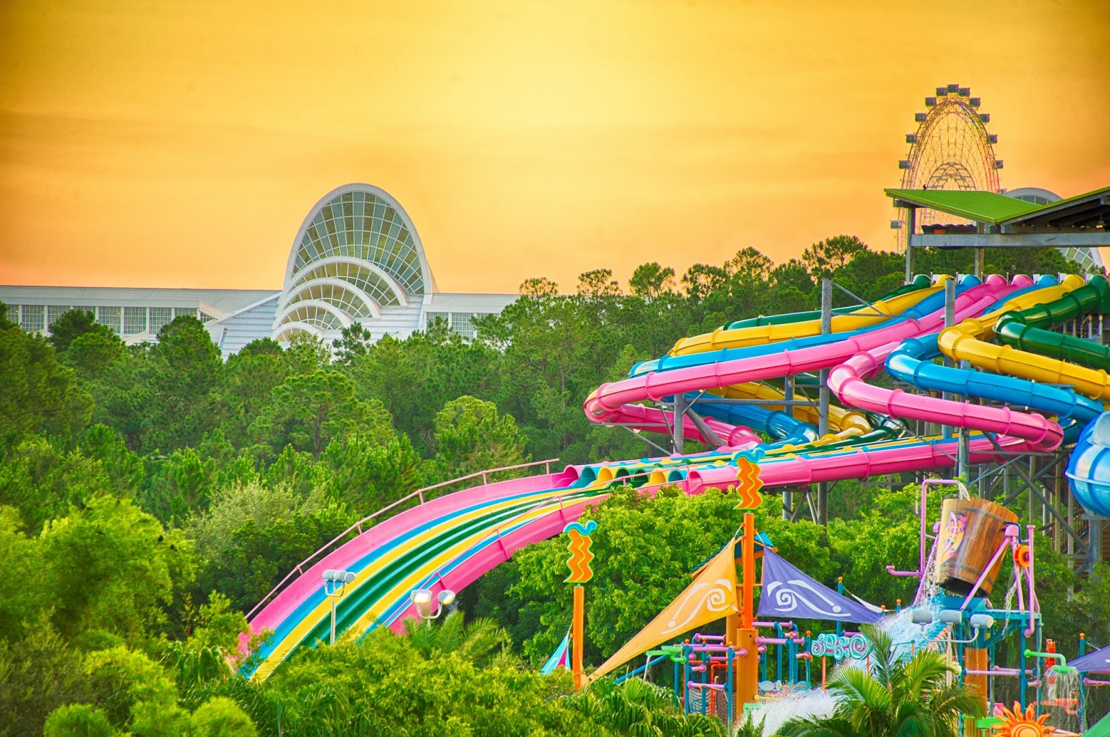 Discover Orlando’s Theme Park Wonders