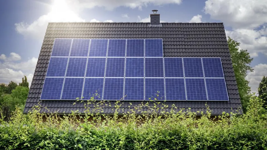 The Growing Conflict Between Solar Energy and Farmland