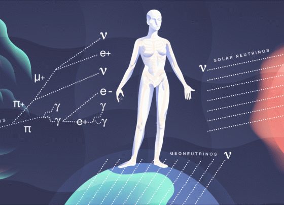 Particle Physics Demystified: A Beginner's Guide