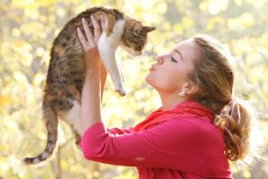 Common Challenges in Training Kittens