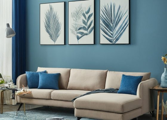 Unleash Your Inner Artist: Transform Your Home with Paint