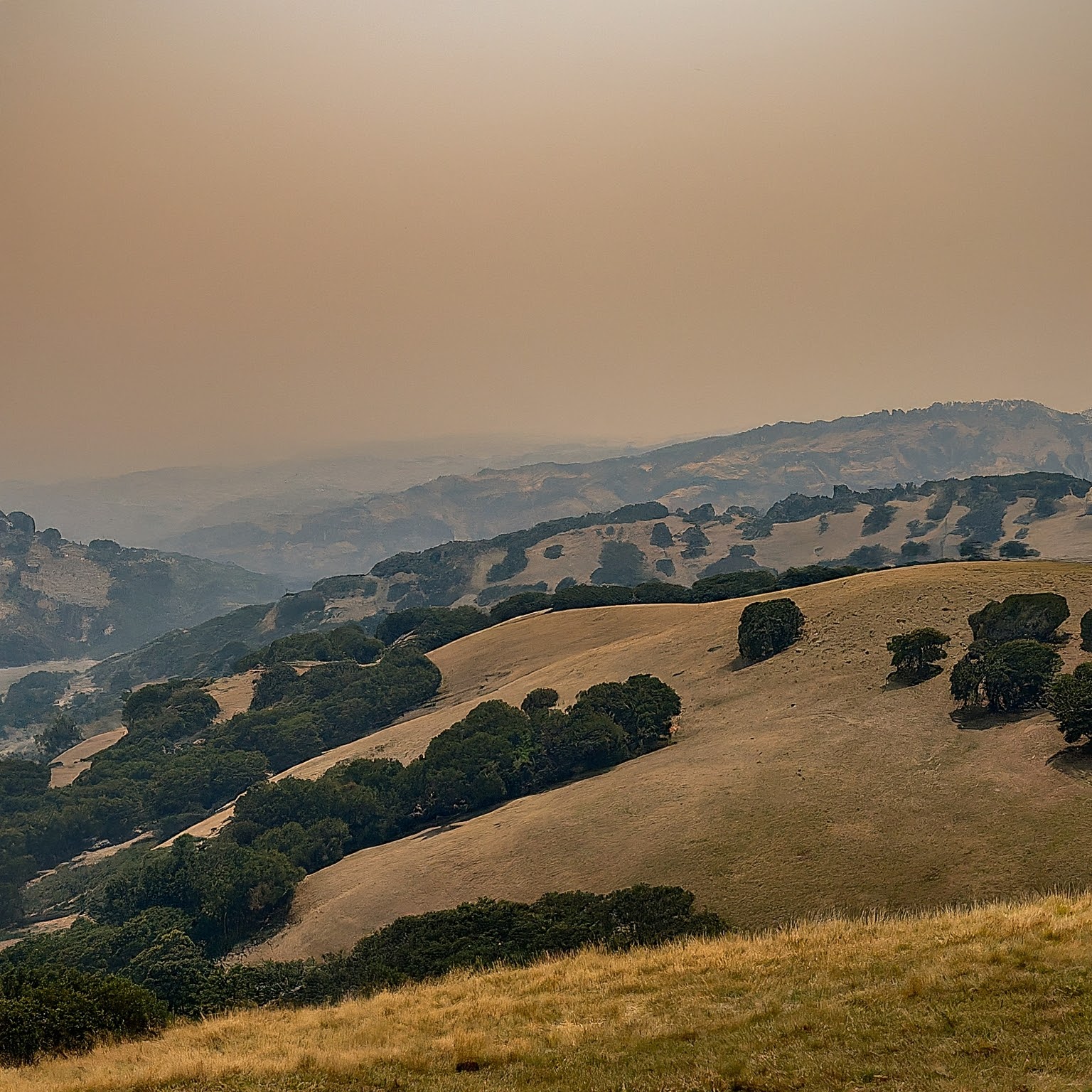 Wildfire Smoke Got You Down? Here's How to Cope.