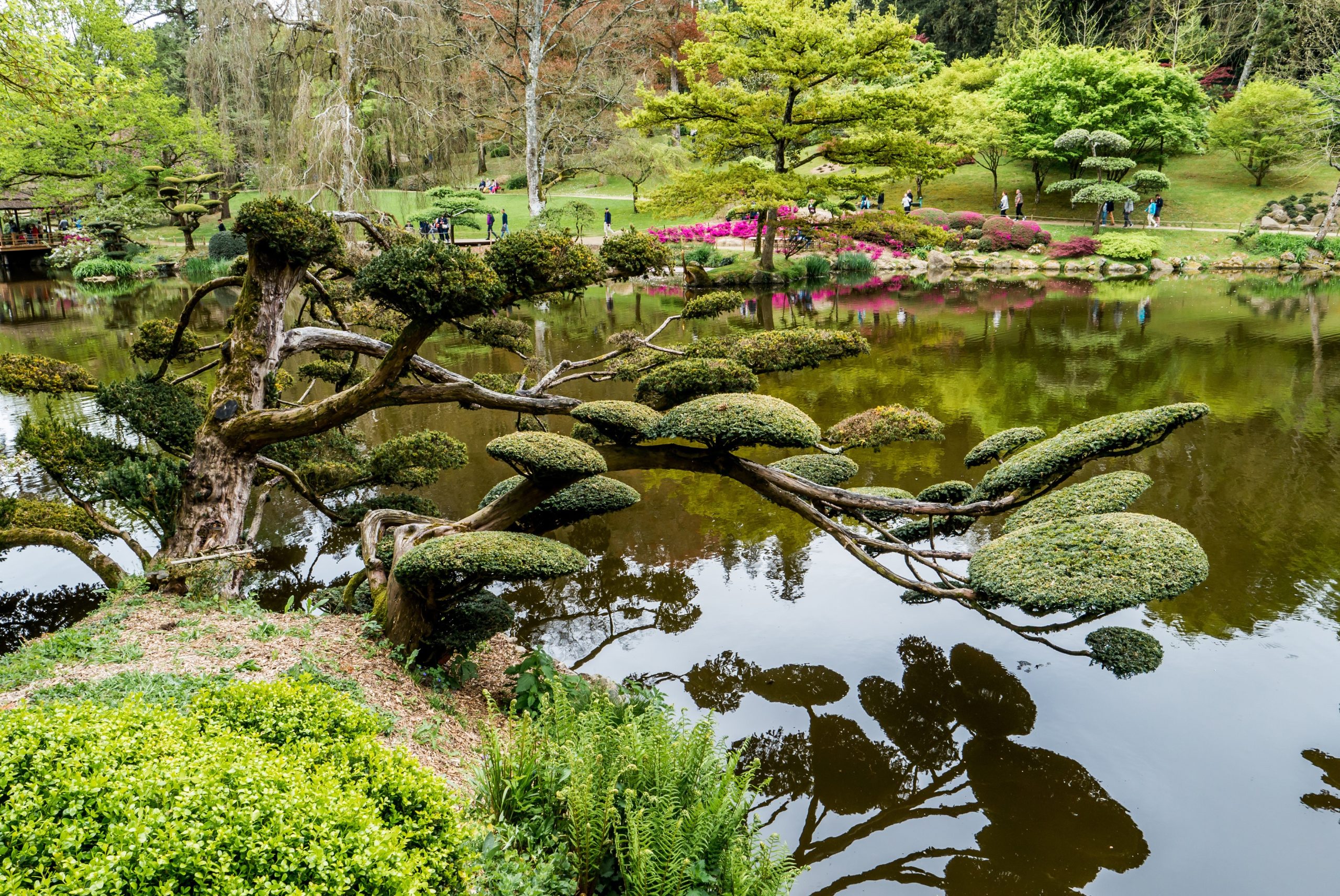 Discover France’s Enchanting Parks and Gardens