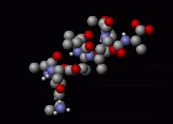 The Evolution of Molecular Physics: Past, Present, and Future