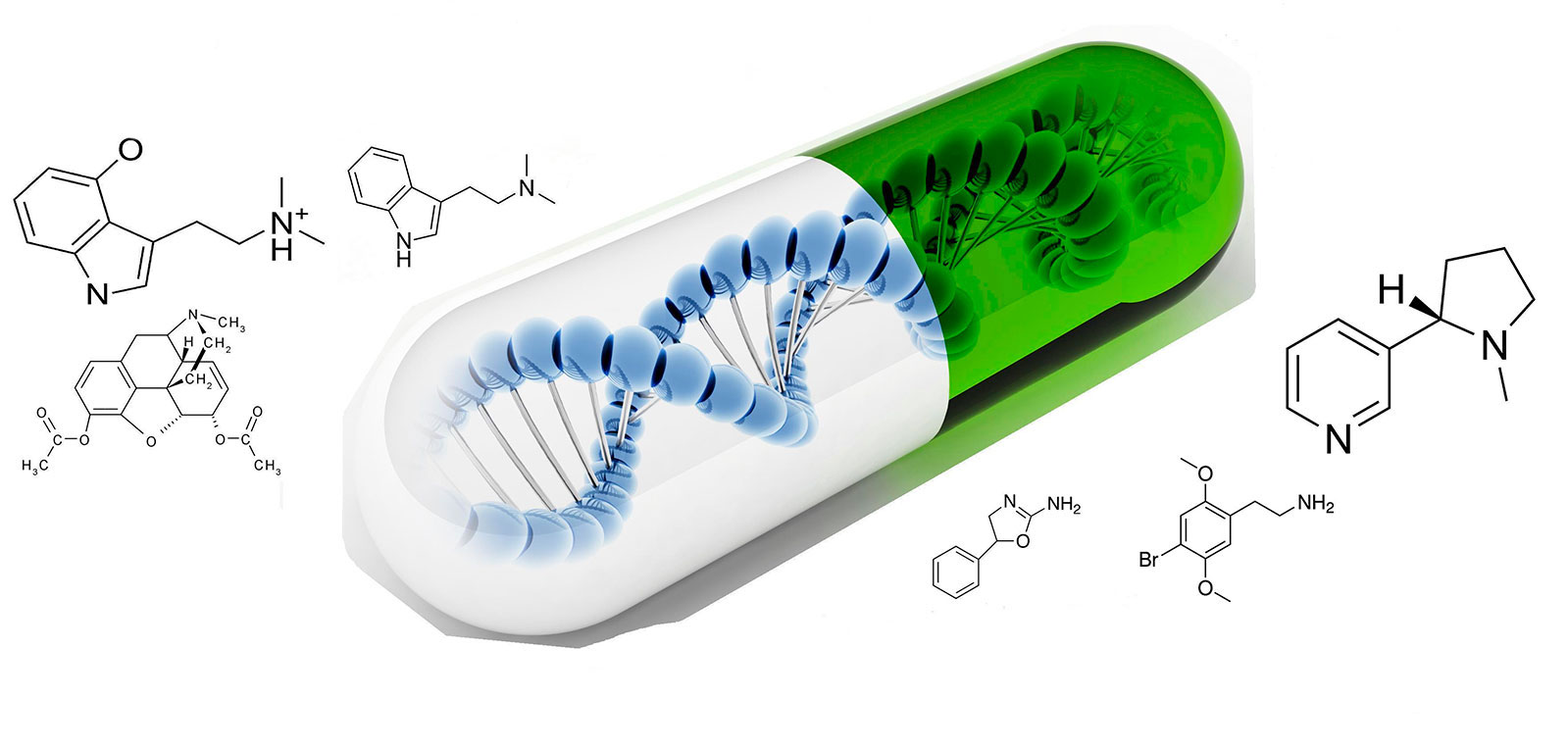 The Dynamic World of Biophysics: Investigating Living Systems