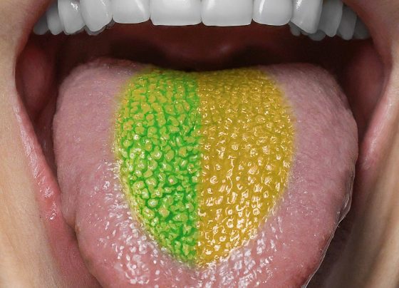 Your Taste Buds Lied: New Science of the Tongue Unveils Hidden Flavors