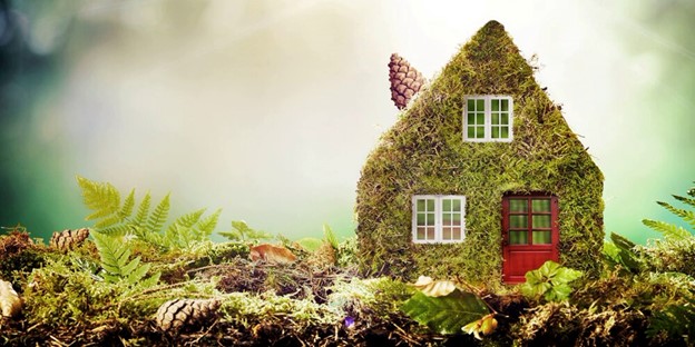 How to Make Your Home More Eco-Friendly?