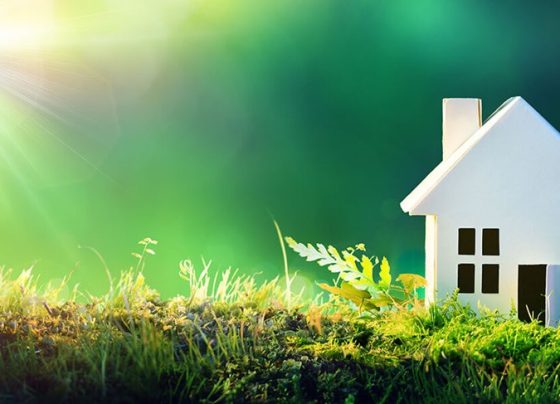 How to Make Your Home More Eco-Friendly?