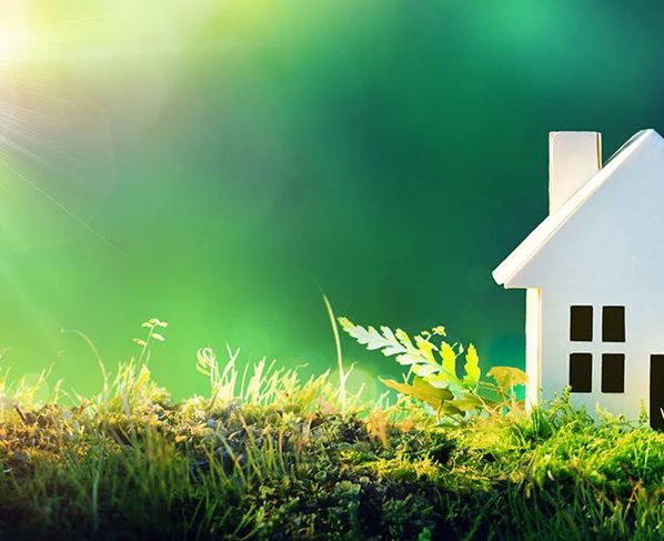 How to Make Your Home More Eco-Friendly?