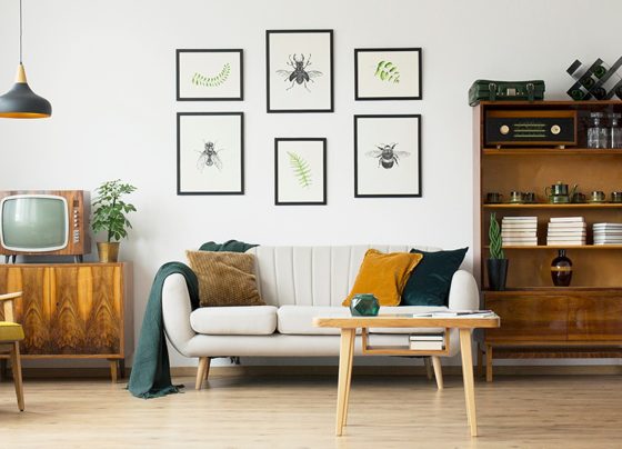 Eco-Friendly Home Decor: Transforming Your Space Sustainably